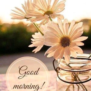 Meet your Posher, LaNeicia